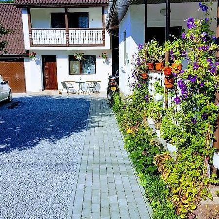 Casa Sallai Apartment Sovata Exterior photo